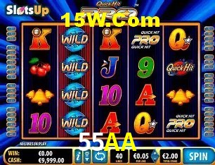 Flash Promotion 55AA